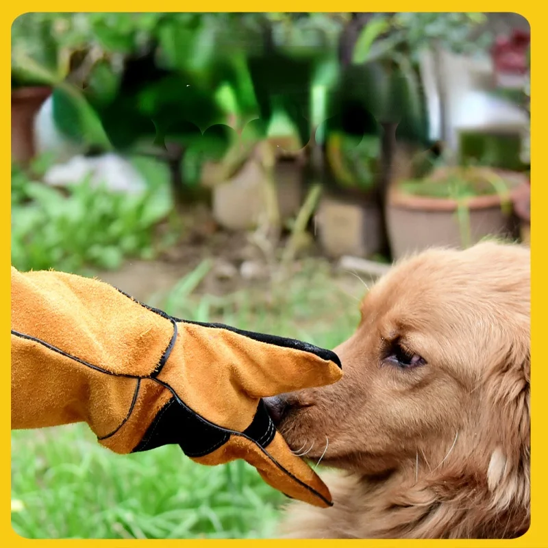 Sarung tangan hewan peliharaan - Leatherwork Training ulasan dan harga