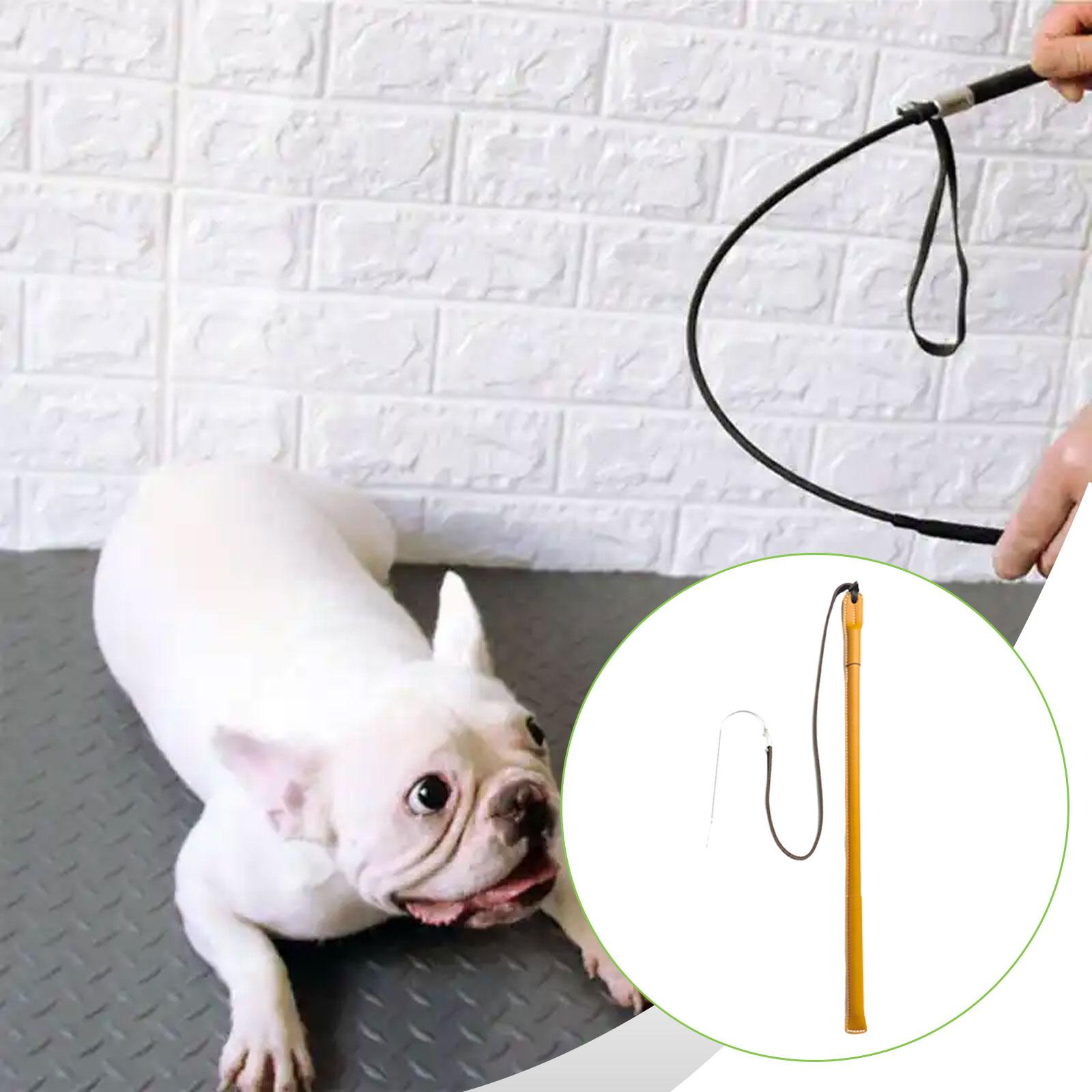 Tongkat Latihan Anjing dari Ku - Leatherwork Training ulasan dan harga