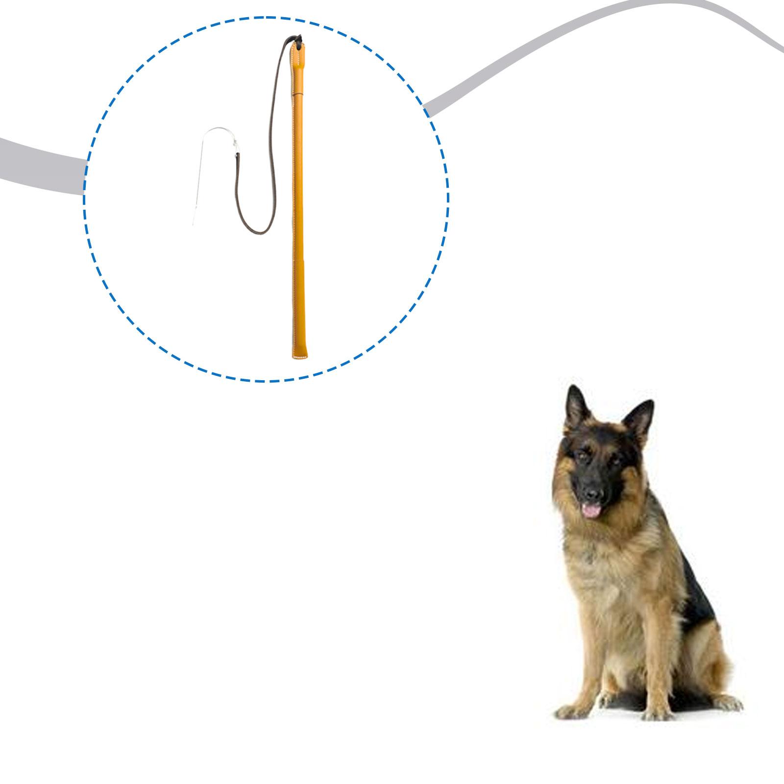 Tongkat Latihan Anjing dari Ku - Leatherwork Training ulasan dan harga
