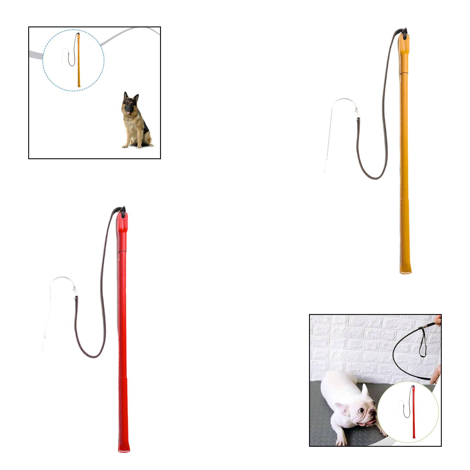 Tongkat Latihan Anjing dari Ku - Leatherwork Training ulasan dan harga