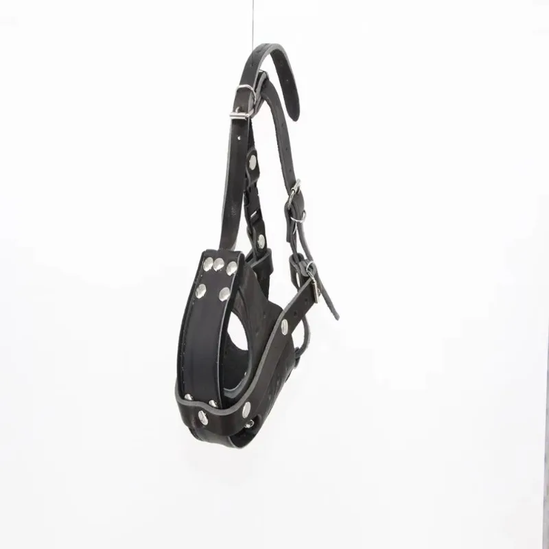 Moncong Anjing Kulit Taktis un - Leatherwork Training ulasan dan harga