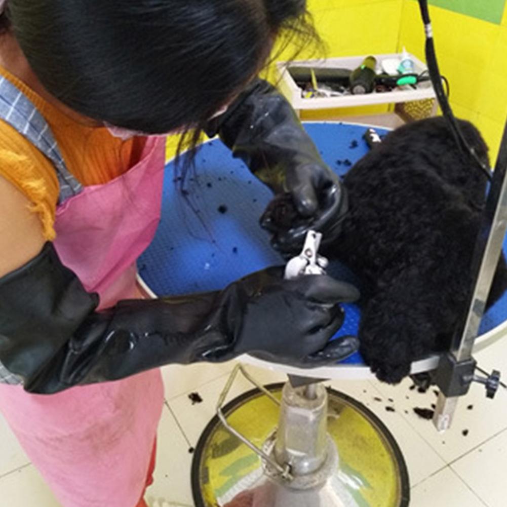 Sarung Tangan Hewan Peliharaan - Leatherwork Training ulasan dan harga